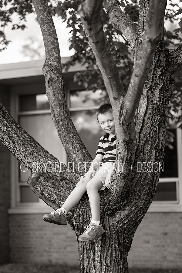 Charlottesville Child Photographer