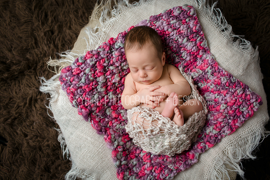 Richmond Newborn Photographer