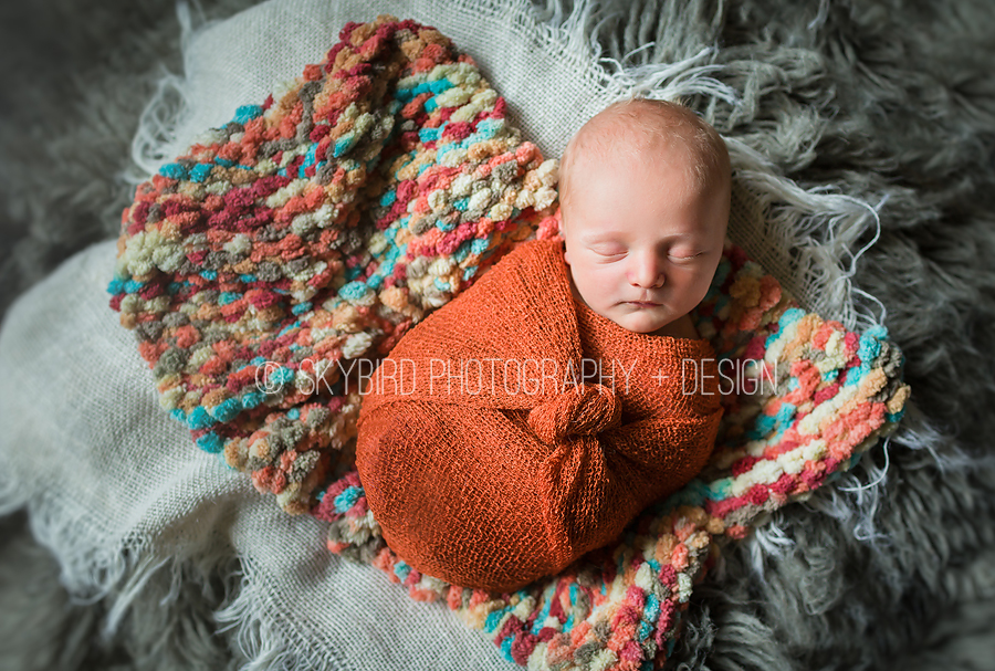 Virginia Newborn Photographer