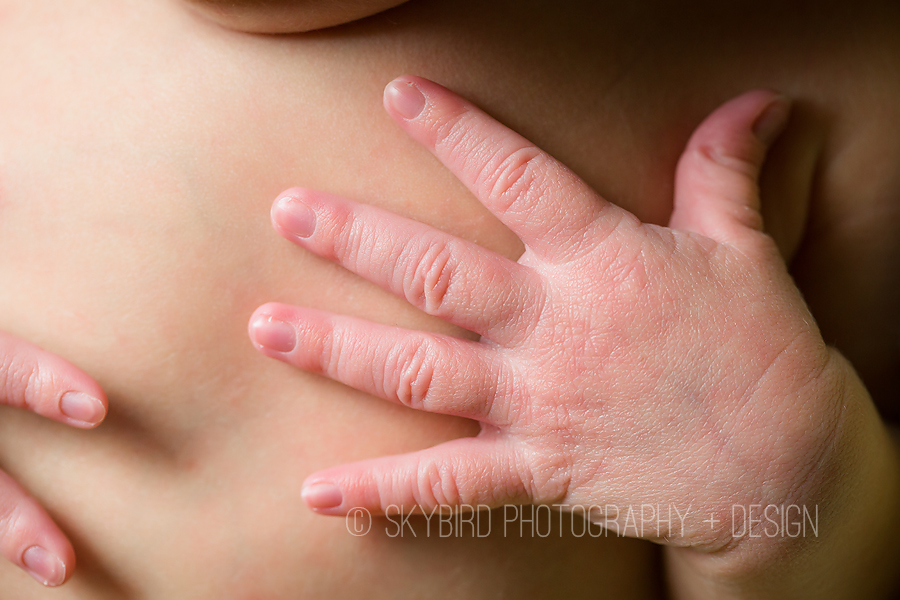 Virginia Newborn Photographer