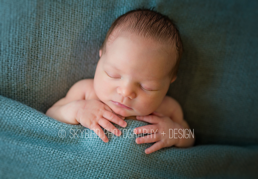 Crozet newborn photographer