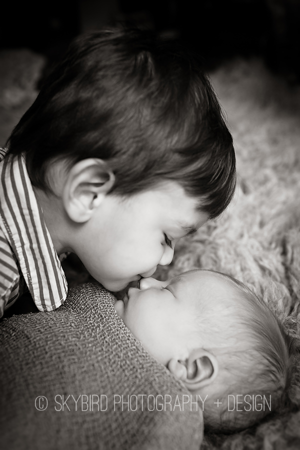 Crozet Newborn Photography