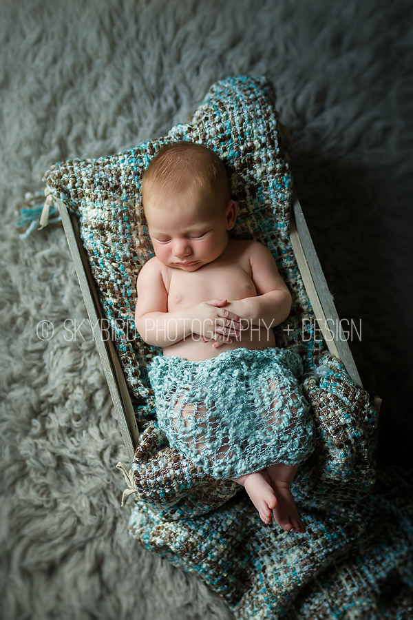 Crozet Newborn Photography