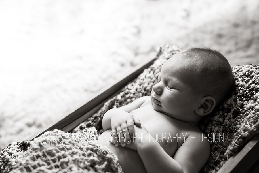 Crozet Newborn Photography