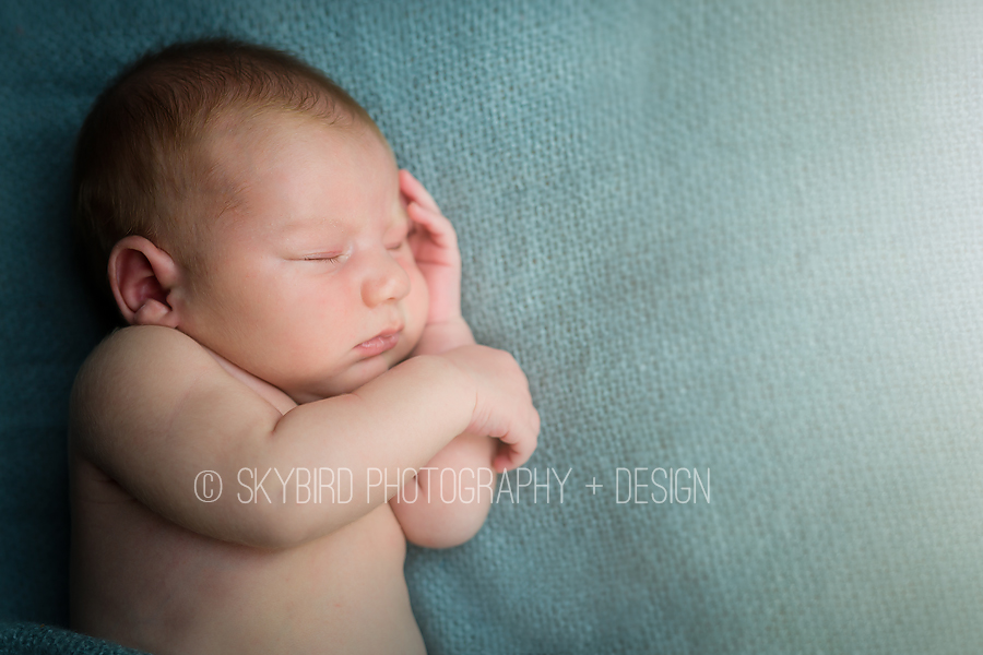 Crozet Newborn Photography