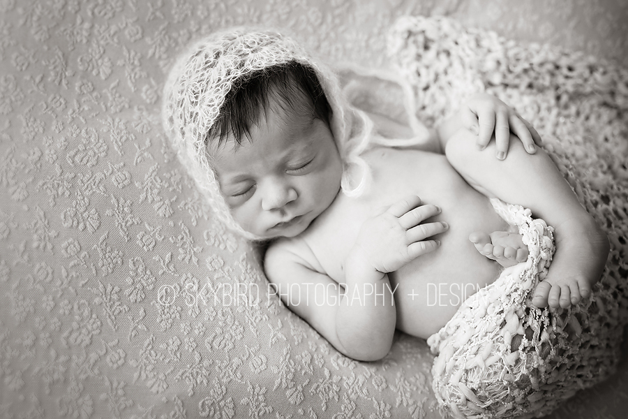 Charlottesville Newborn Photography