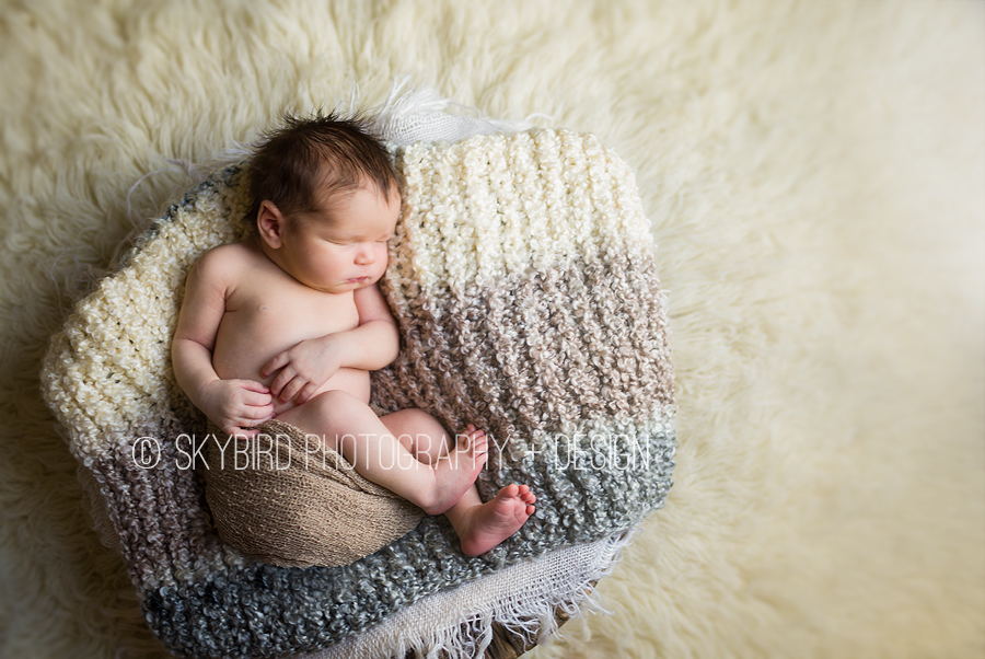 Virginia Tech Newborn