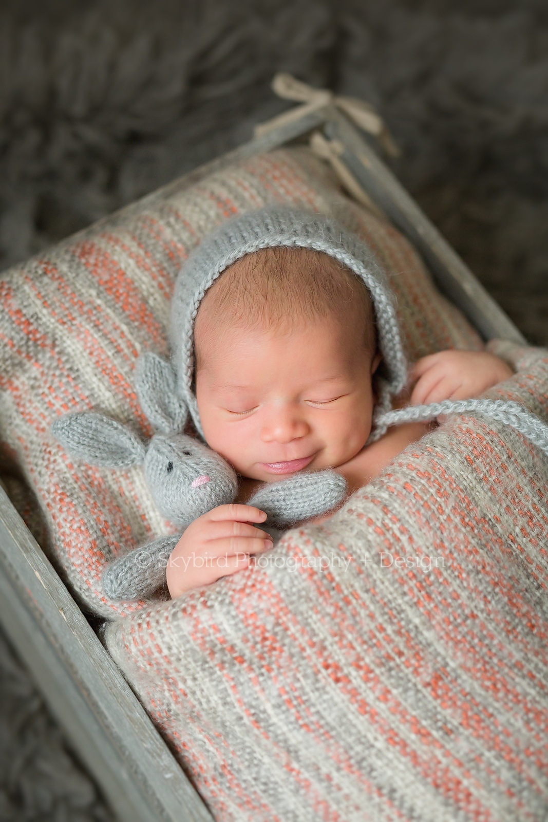 Newborn Photographer Charlottesville