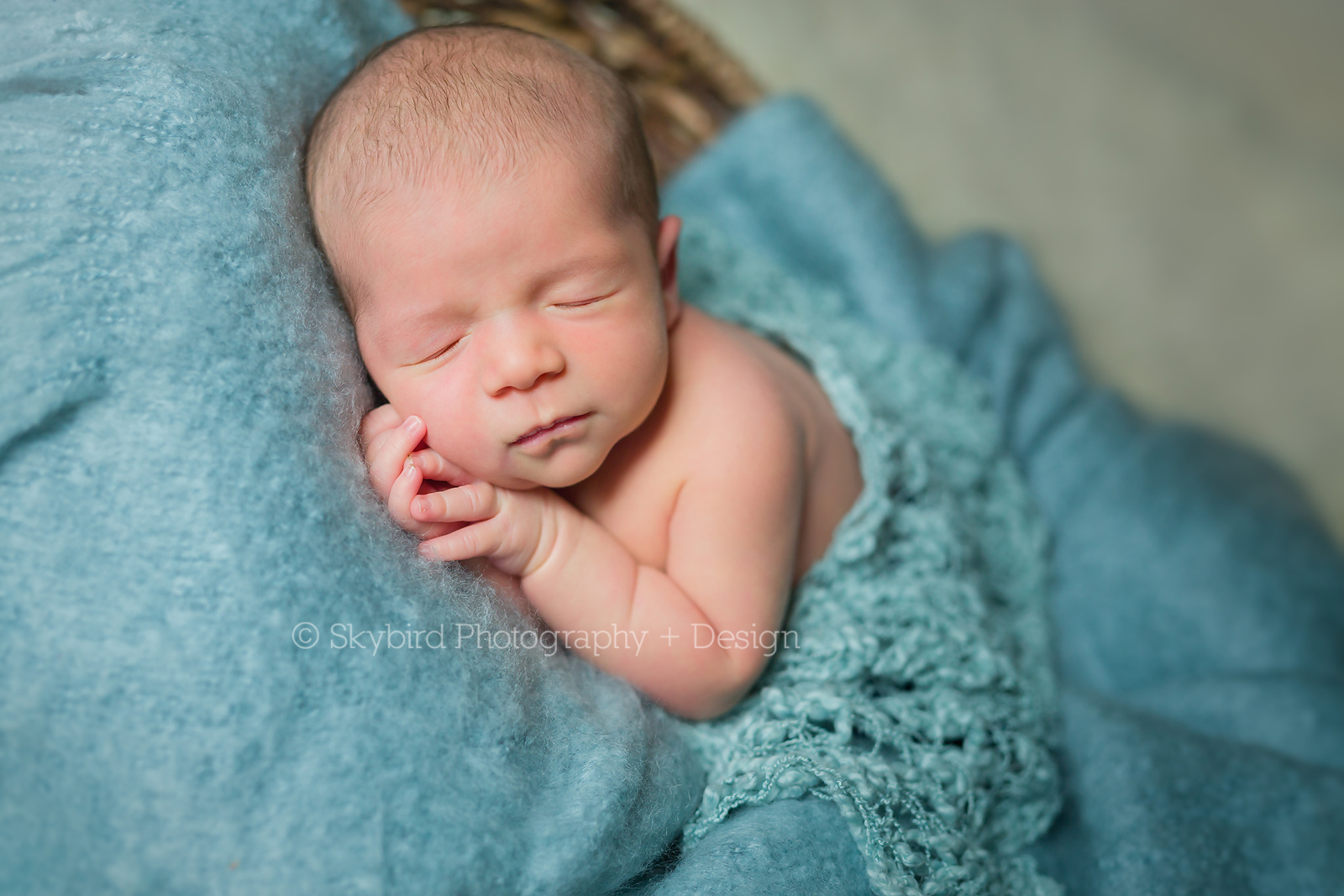 Newborn Photographer Charlottesville