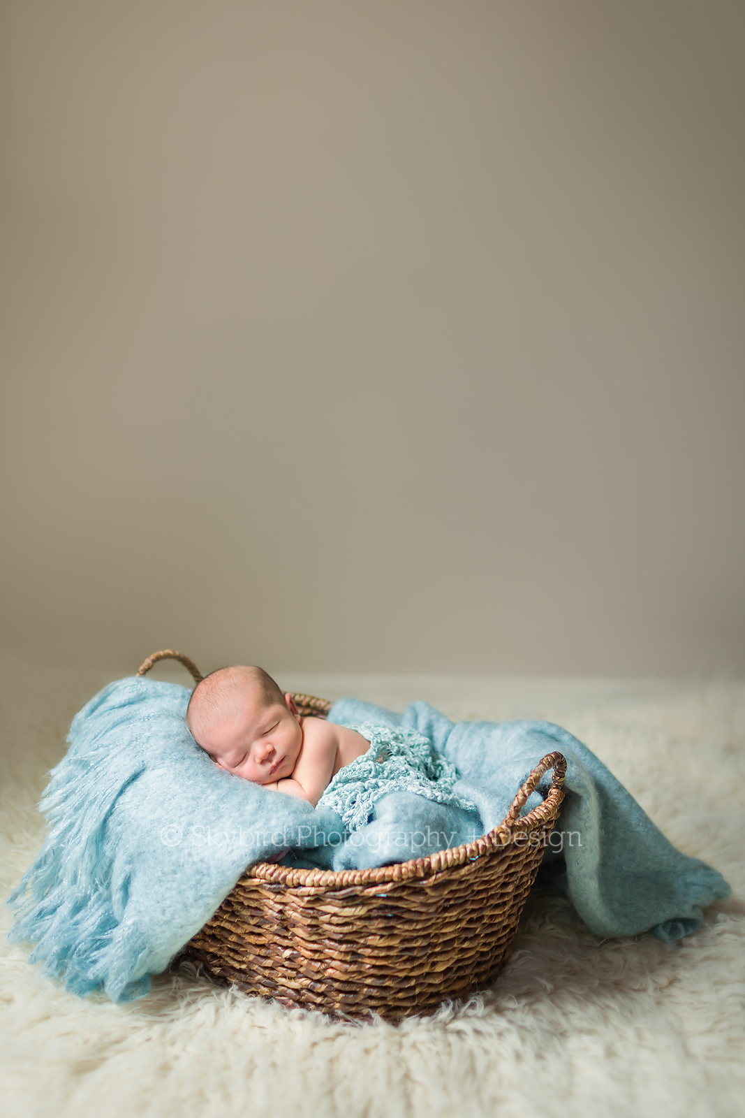 Newborn Photographer Charlottesville