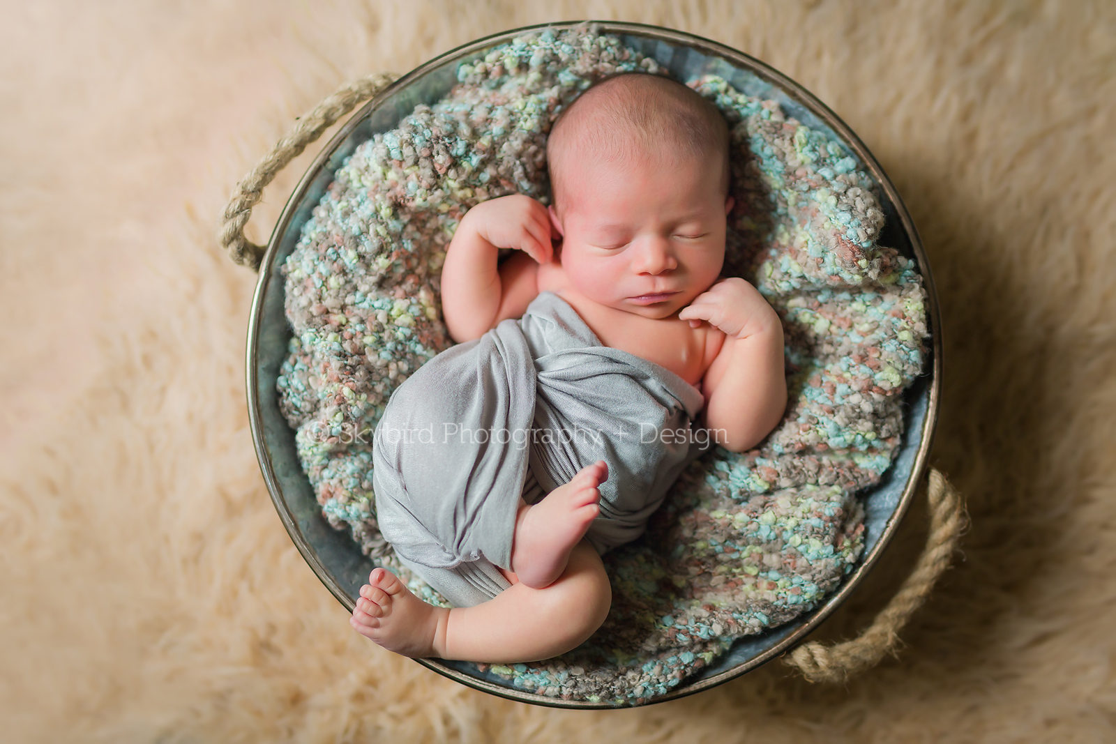 Newborn Photographer Charlottesville