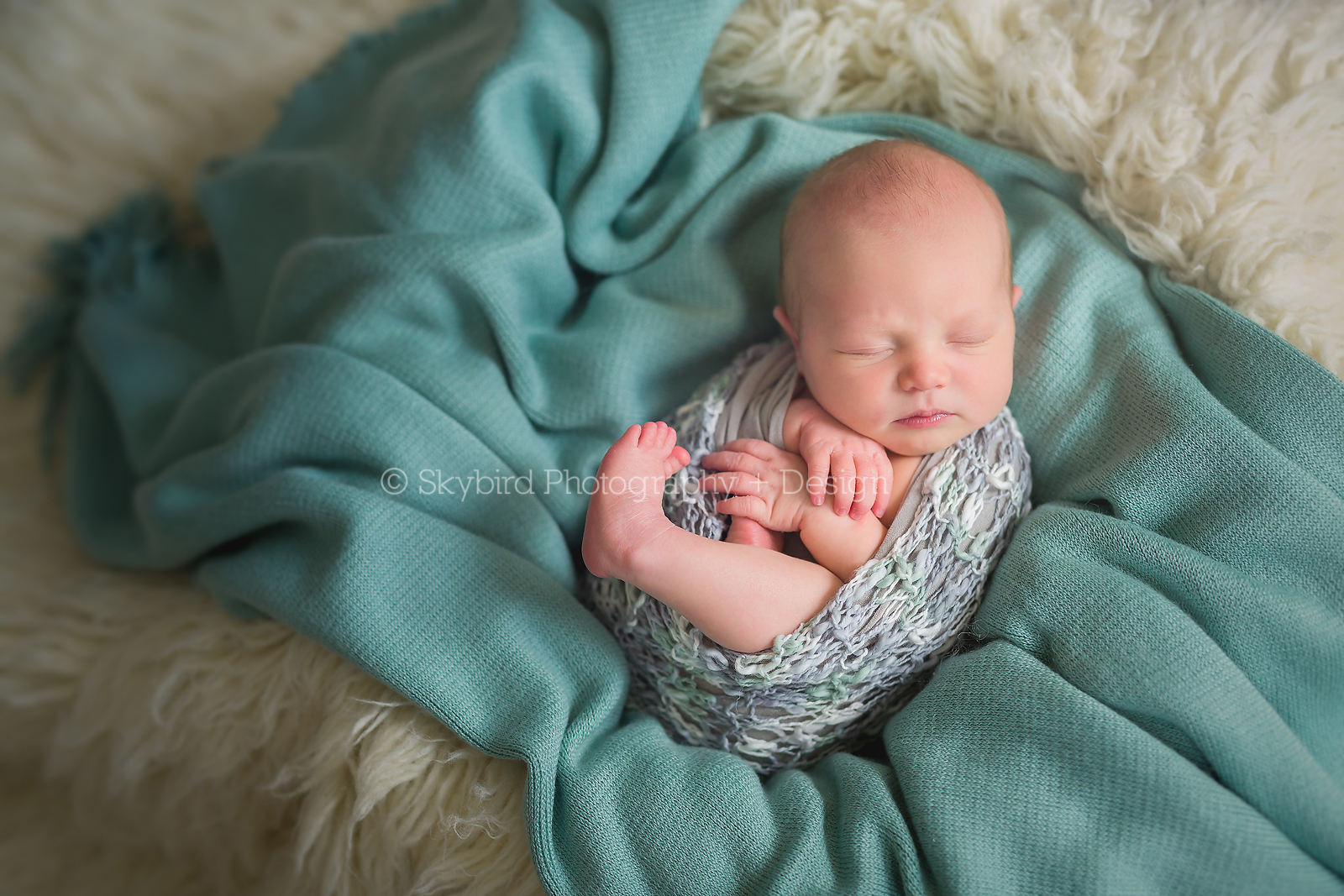 Charlottesville VA Newborn Photography