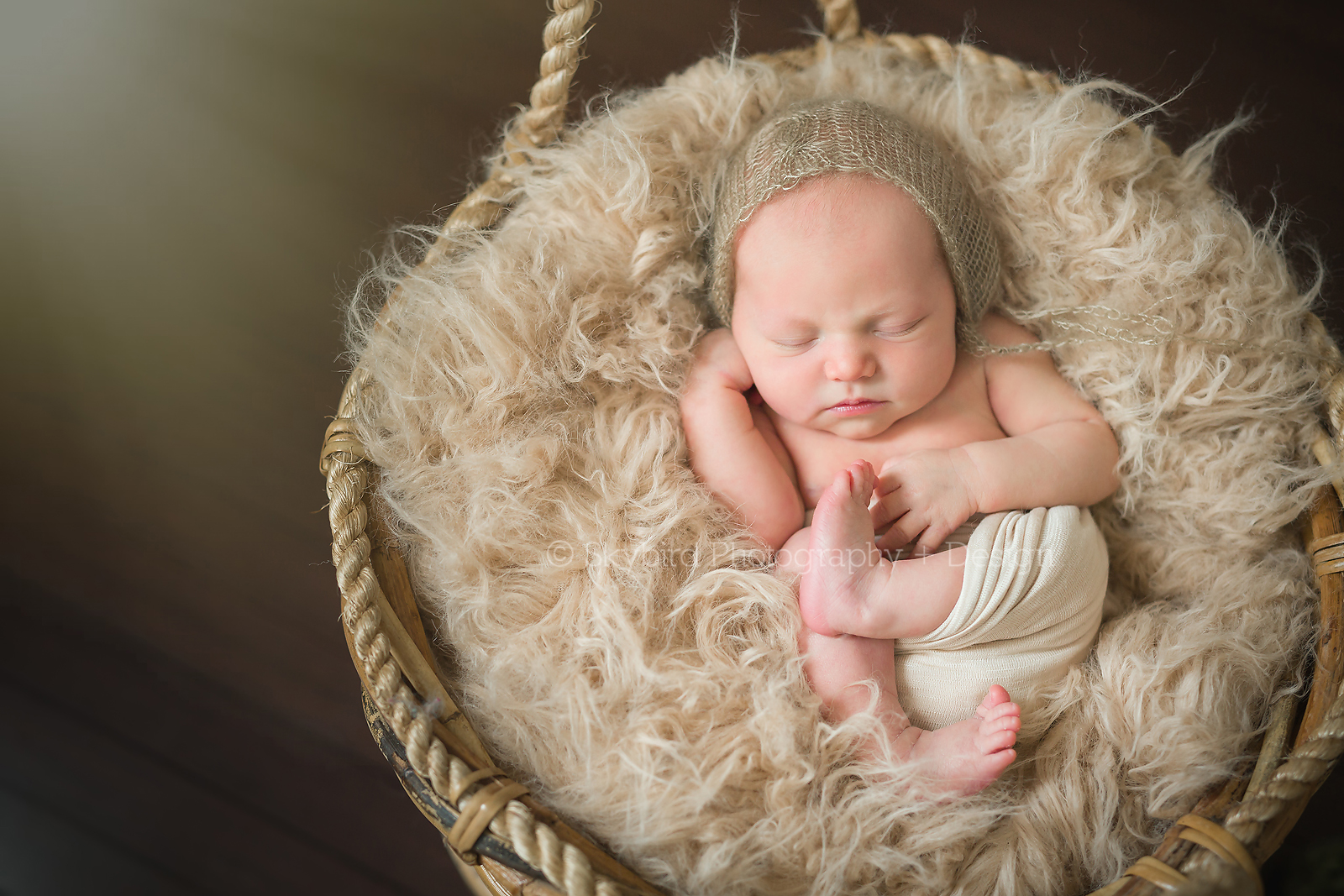 Charlottesville VA Newborn Photography