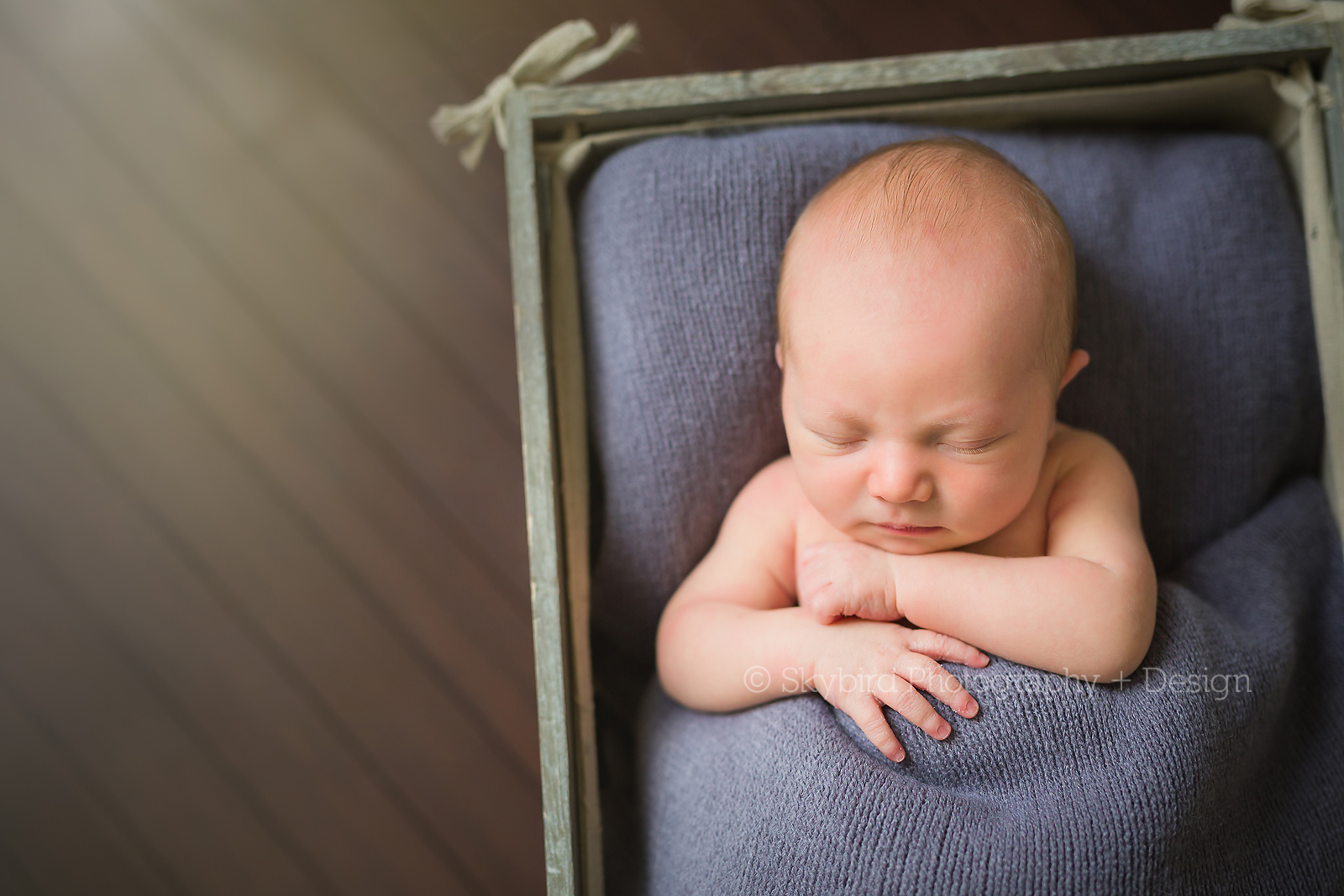 Charlottesville VA Newborn Photography