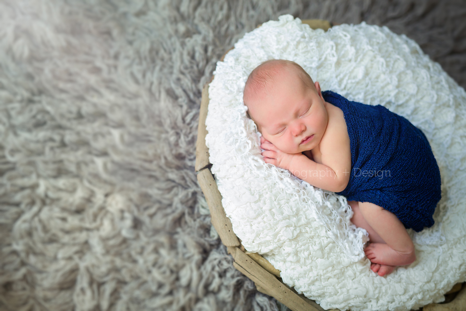 Charlottesville VA Newborn Photography