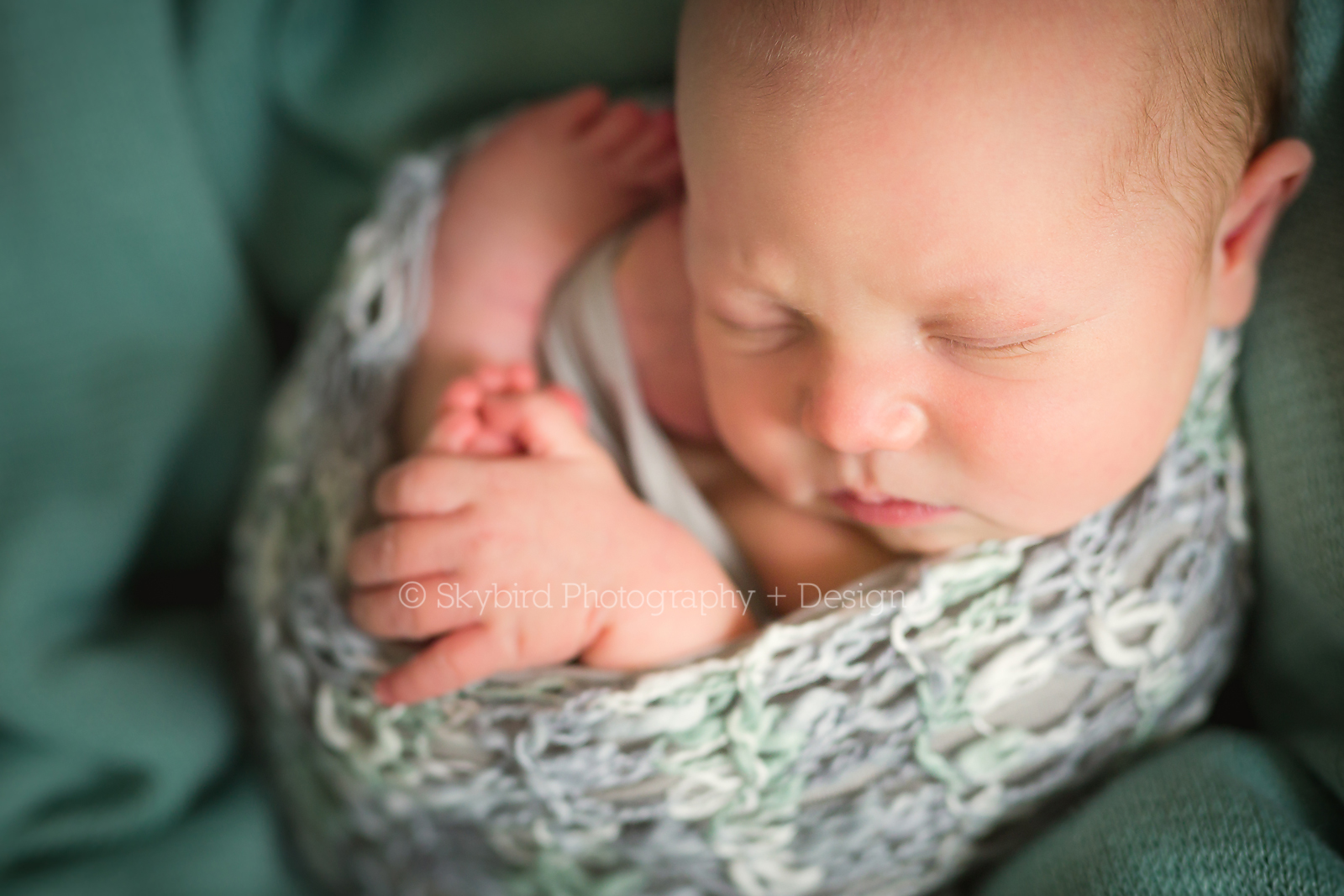 Charlottesville VA Newborn Photography