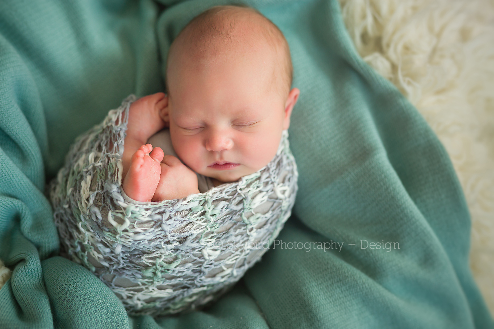 Charlottesville VA Newborn Photography