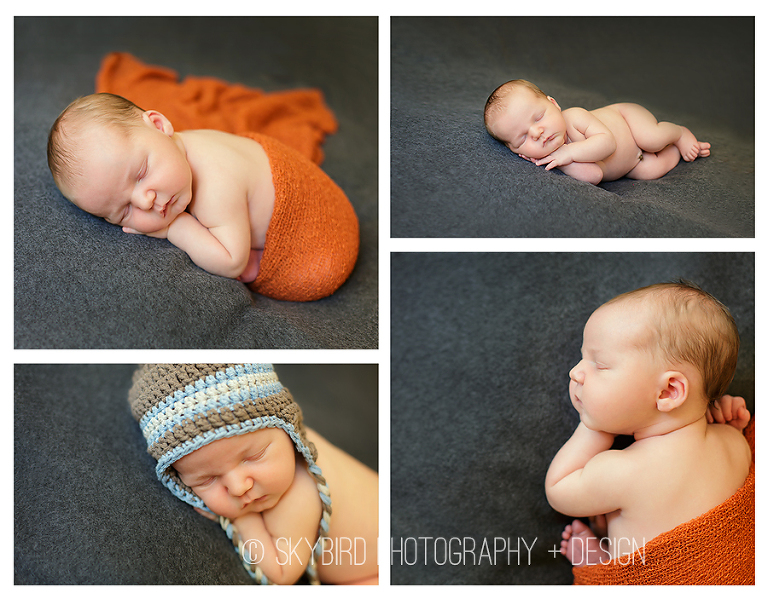 A Third Boy | Crozet Virginia Newborn Photographer - Skybird ...