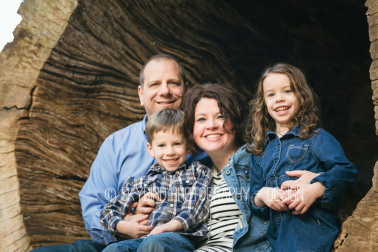 The B Family Fall Session | Charlottesville Photographer | Skybird ...